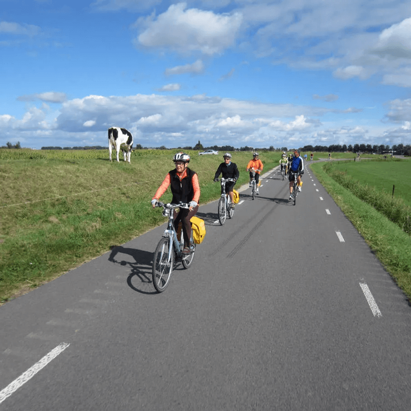 Webdesign Andijk, Project Direct, Timo van Tilburg, Snel een Webdesigner Andijk, Website laten maken Andijk, Website laten bouwen Andijk, SEO Andijk, SEA Andijk, Online Marketing Andijk, Wordpress Andijk, Zoekmachine optimalisatie Andijk