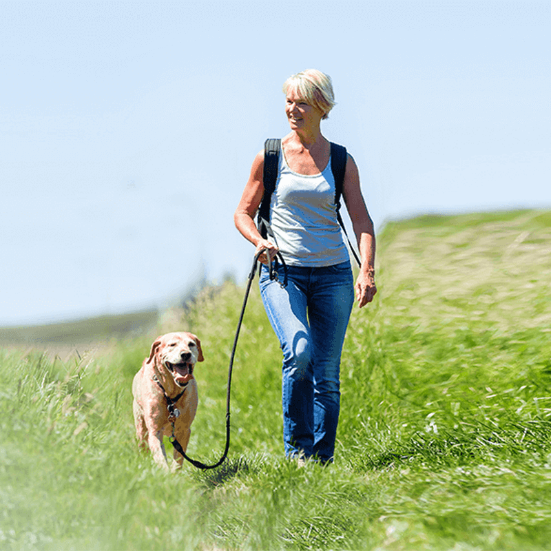 Webdesign Andijk, Project Direct, Timo van Tilburg, Snel een Webdesigner Andijk, Website laten maken Andijk, Website laten bouwen Andijk, SEO Andijk, SEA Andijk, Online Marketing Andijk, Wordpress Andijk, Zoekmachine optimalisatie Andijk